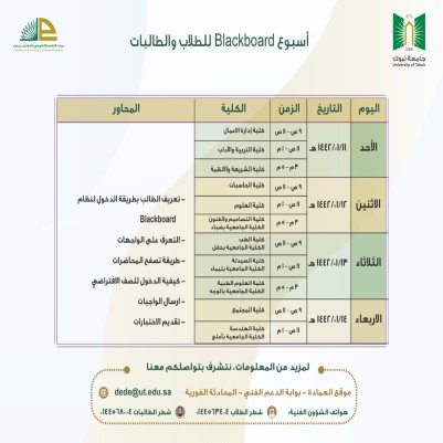 الصفحة الرئيسية