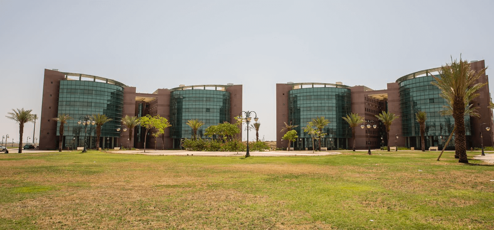 جامعة تبوك البوابة